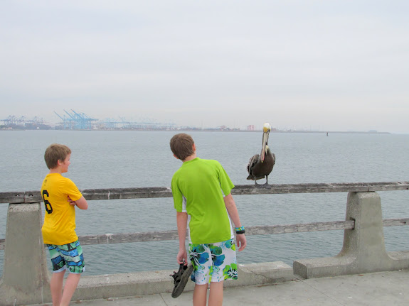 The kids eyeing a pelican