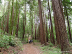 Big Rock Hole Trail
