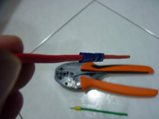 P1010008.JPG