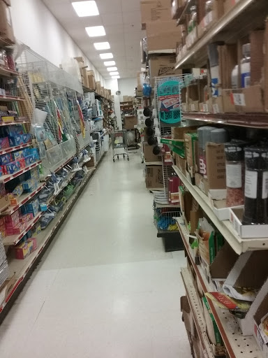100 Mazzeo Dr, Randolph, MA 02368, USA