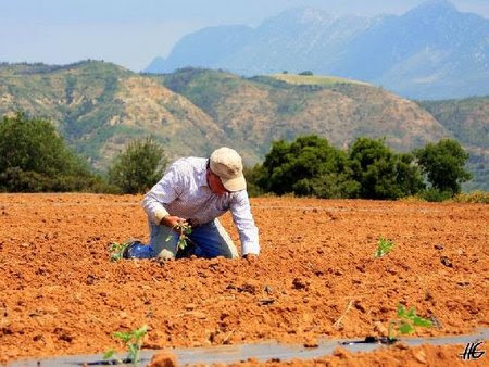 κοζάνη, ειδήσεις, νέα, Πτολεμαΐδα 