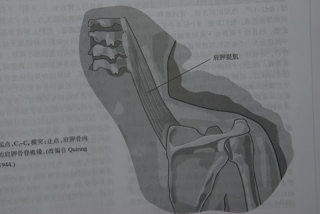 点看全图