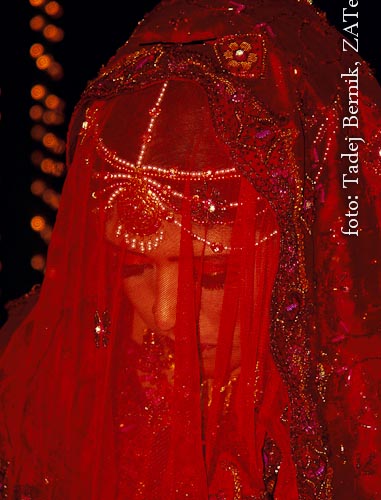 Pakistanska poroka iz leta 2004