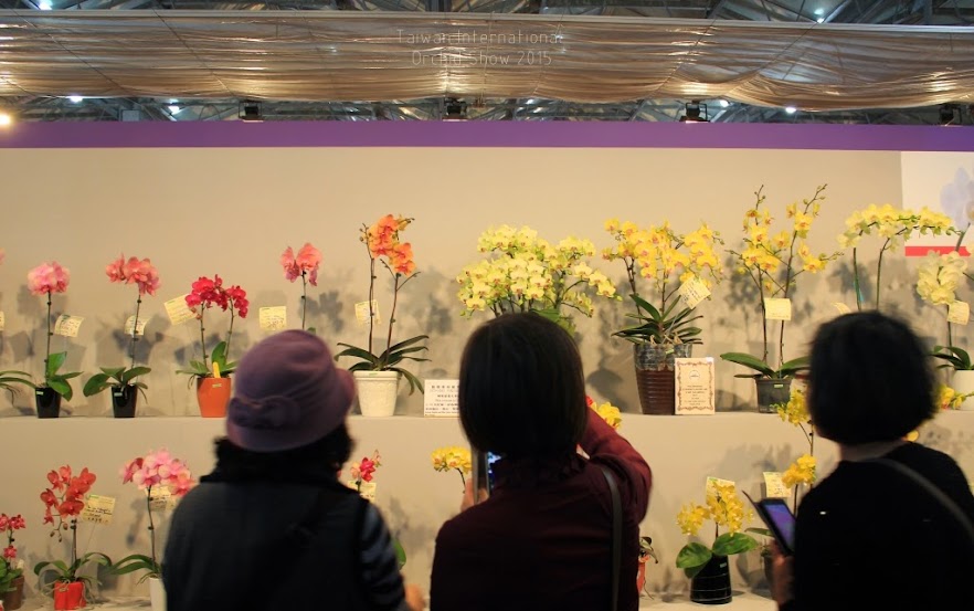 2015 台灣國際蘭花展-6
