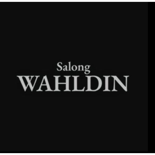 Salong Wahldin logo