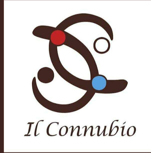 Il Connubio logo