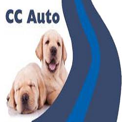 C C Auto Repairs logo