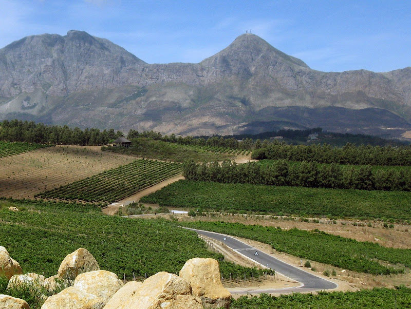 cape20100012waterkloof.JPG