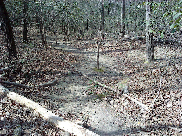 Inspiration Trail spur down to the creek