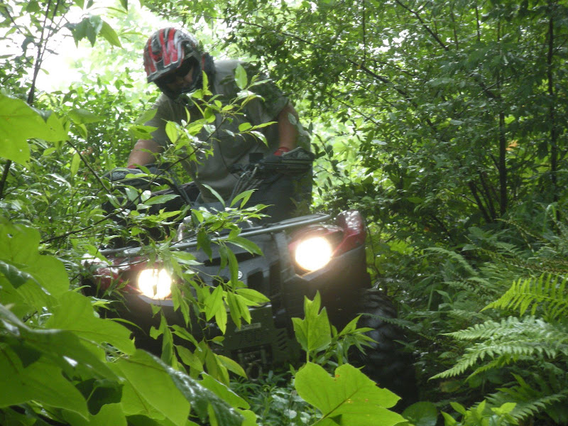 ATV Pic of the day - Page 3 Picture%2520004