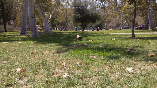 Hermon Dog Park