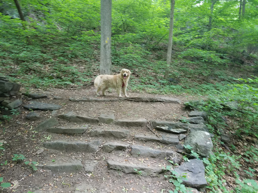 Nature Preserve «Silver Lake Preserve», reviews and photos, Lake St, White Plains, NY 10604, USA