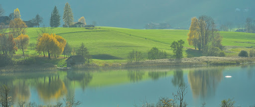 Lac d'Irrsee