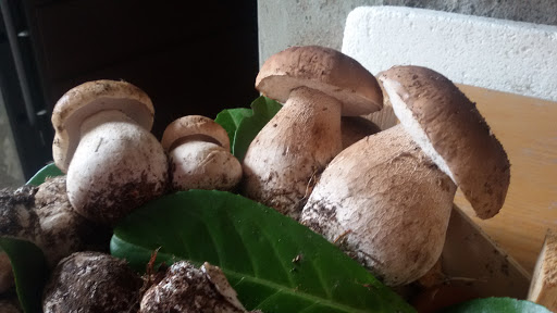 Ristorante Osteria Del Pettirosso