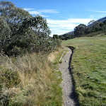 Track along the side of the golf course (273971)