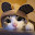 Mayumi Chi's user avatar