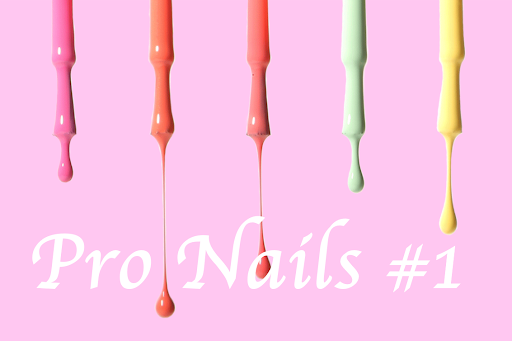 Pro Nails 1 logo