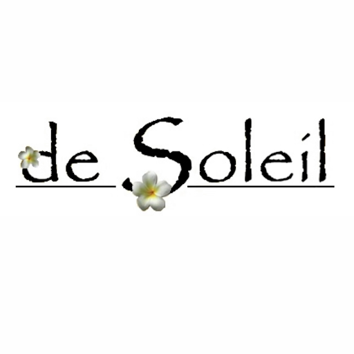 De Soleil Salon and Spa logo