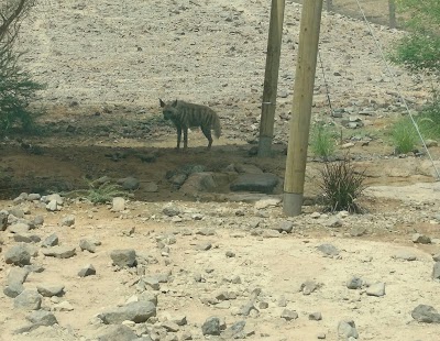 Photos of Al Hefaiyah Mountain Conversation Center