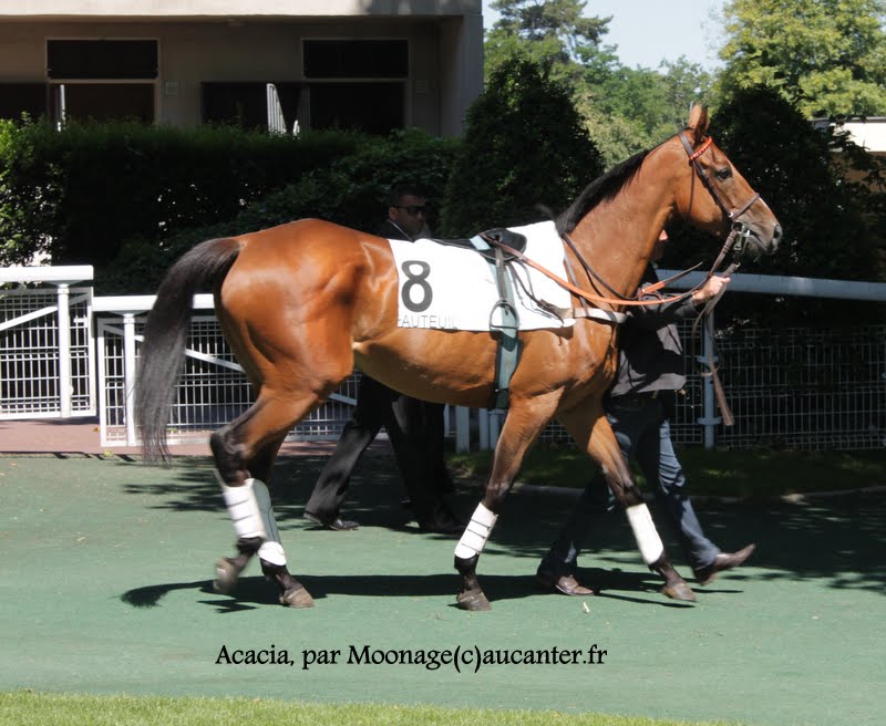 Photos Auteuil le 21-06-2014 IMG_2010