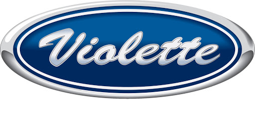 Violette Motors Ltd logo