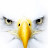 Ruben Chaves avatar image