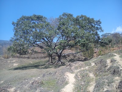 Photos of Bhojpur Airport