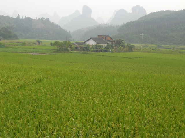 The real China