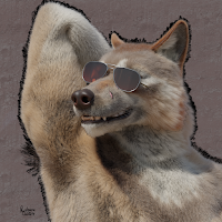 Rydorion The Fox