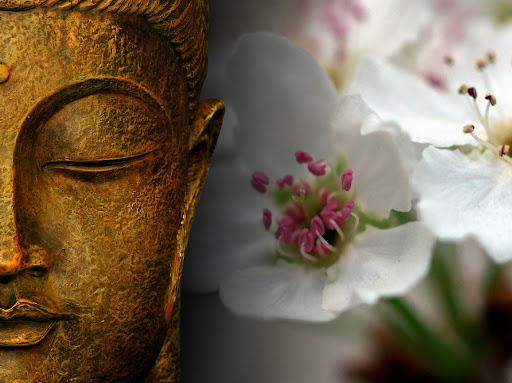 Namaste à tous à toutes Buddha-wallpapers-photos-pictures-zen-flowers