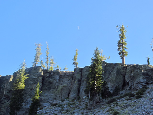 cliffs with trees at the top and talus at the bottom