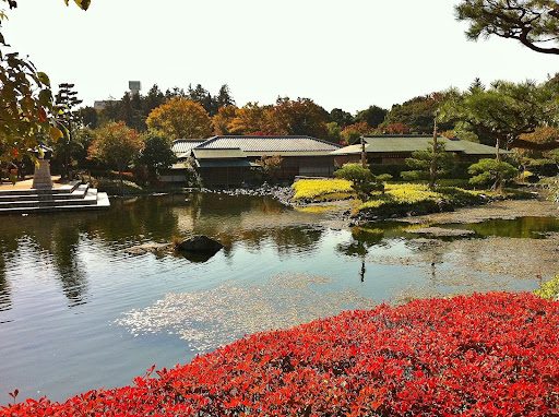 Place around image