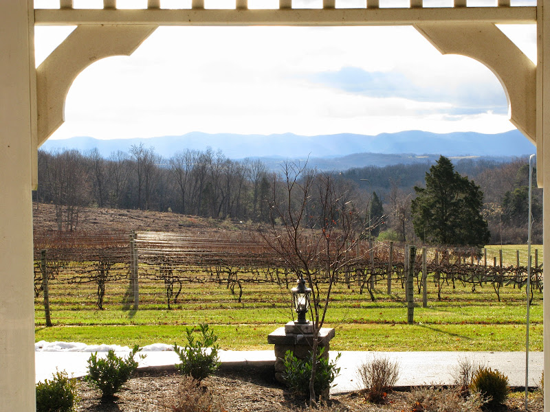 Immagine principale di Virginia Mountain Vineyards
