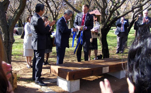 nara park bench