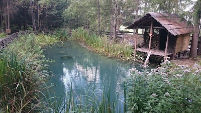 Photos of &Ouml;tztaler Greifvogelpark