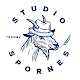 Studio Spornes Music and Yoga