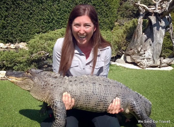 Lisa Niver with alligator! #StudyAbroadBecause Your Whole Life Will Change