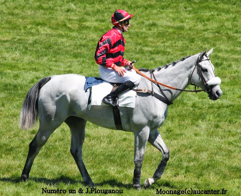 Photos Auteuil le 21-06-2014 - Page 2 IMG_2327