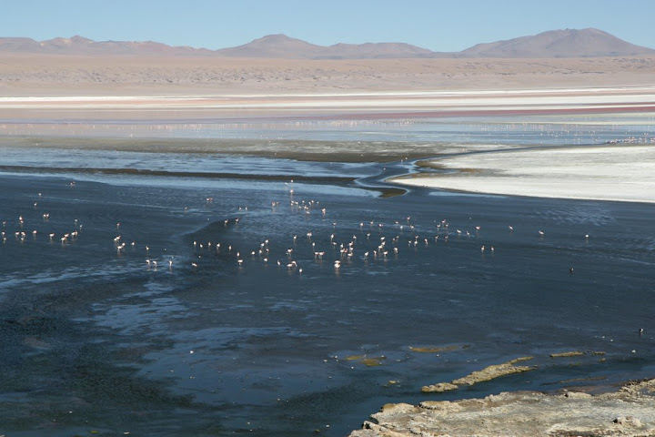 Ветер в кактусах: отчет о поездке Перу - Боливия