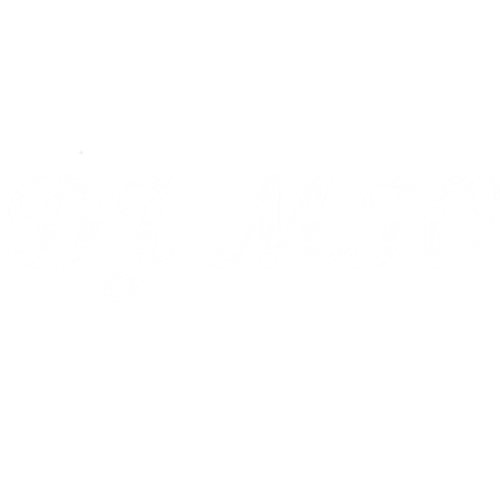 Party DJ MIO logo