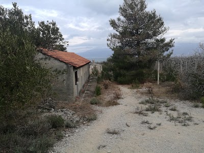 Photos of Villa Britanida