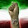 azarakhsh naboodgar azarakhsh naboodgar's profile photo