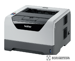 Download Brother HL-5370DW printer’s driver, study how to setup