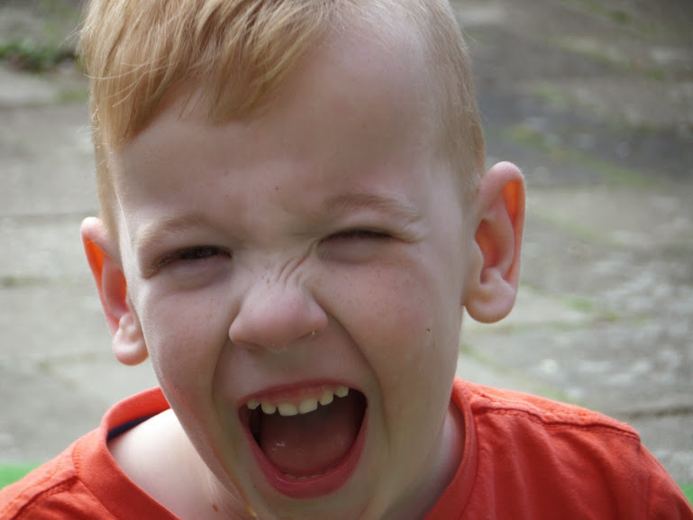 SAM_0482.JPG