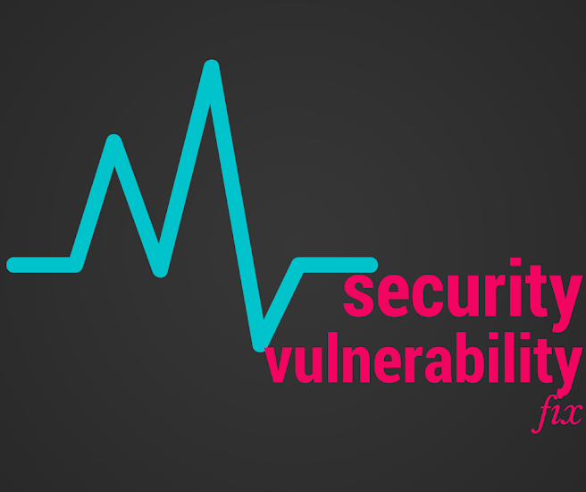 Security Vulnerability in HP LoadRunner