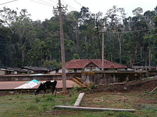 Kwality Cottage, Ibnivalvadi village, boikeri post,, Kedakal Negadal, Madikeri, Karnataka 571201, India, Cottage, state KA