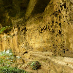 Rock underneath the arch at Gap Creek Falls in the Watagans (323834)