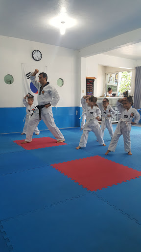 IL Shim Taekwondo Tuxpan, Cuitláhuac 88, Alvarez, 92820 Tuxpan, Ver., México, Escuela de taekuondo | VER