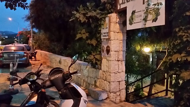 Üzüm Kızı Meyhane kaş