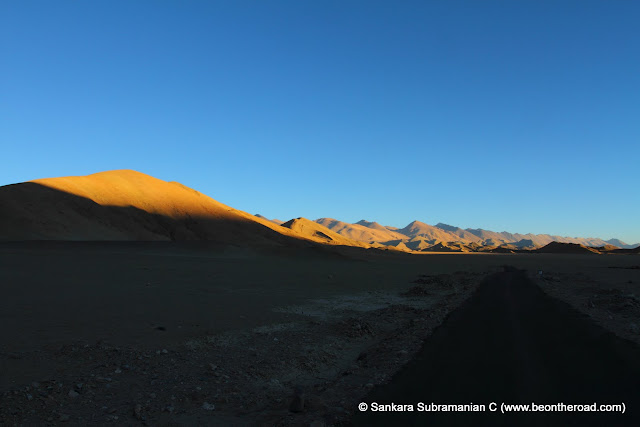 Golden yellow at Changthang Cold Desert